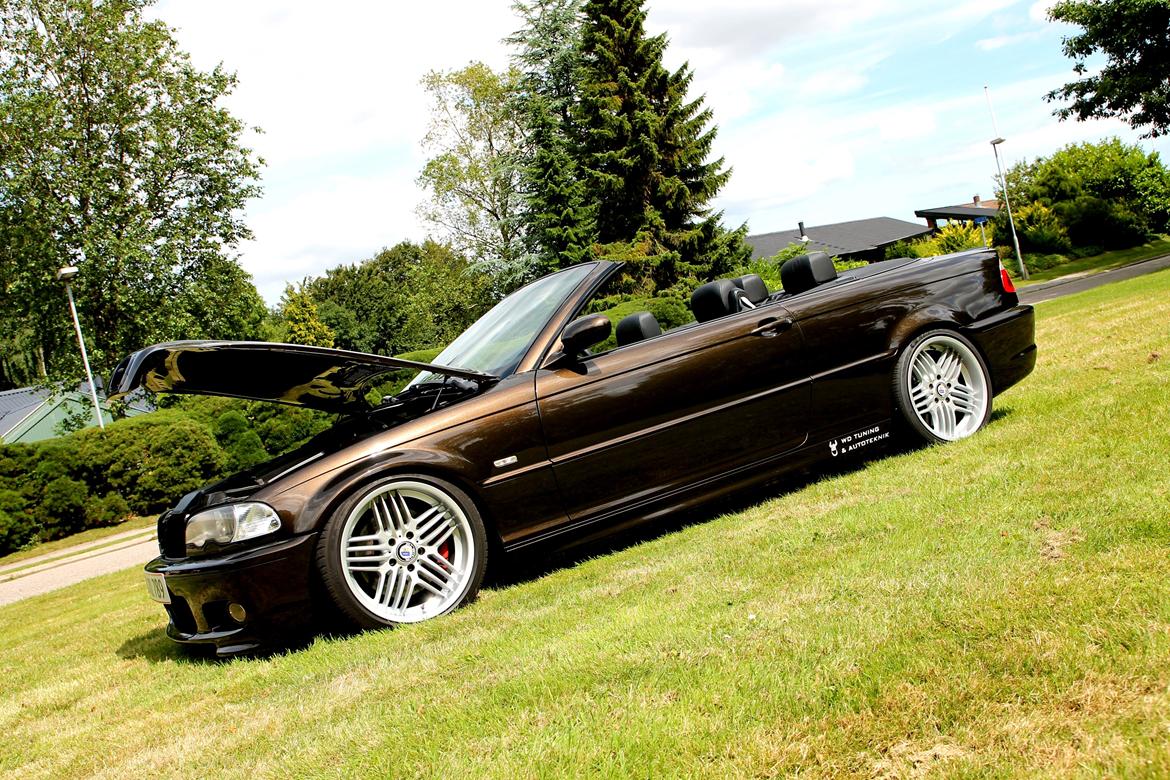 BMW E46 330CI Cabriolet "Brownie"  billede 37