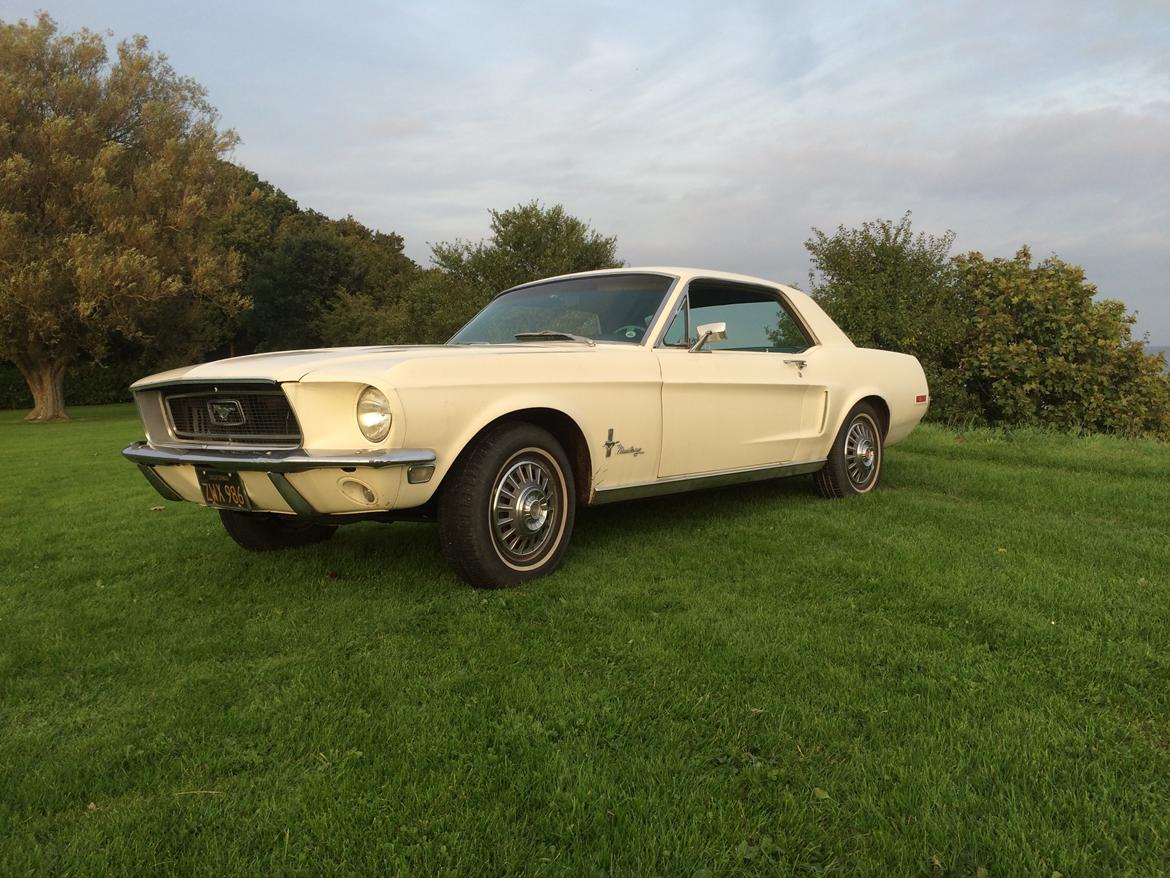 Ford Mustang billede 8