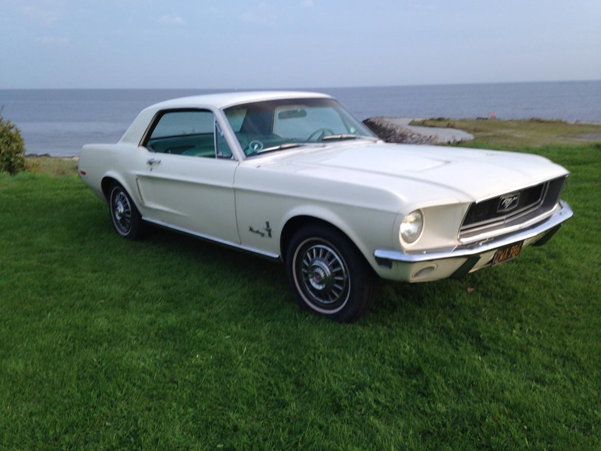 Ford Mustang billede 10