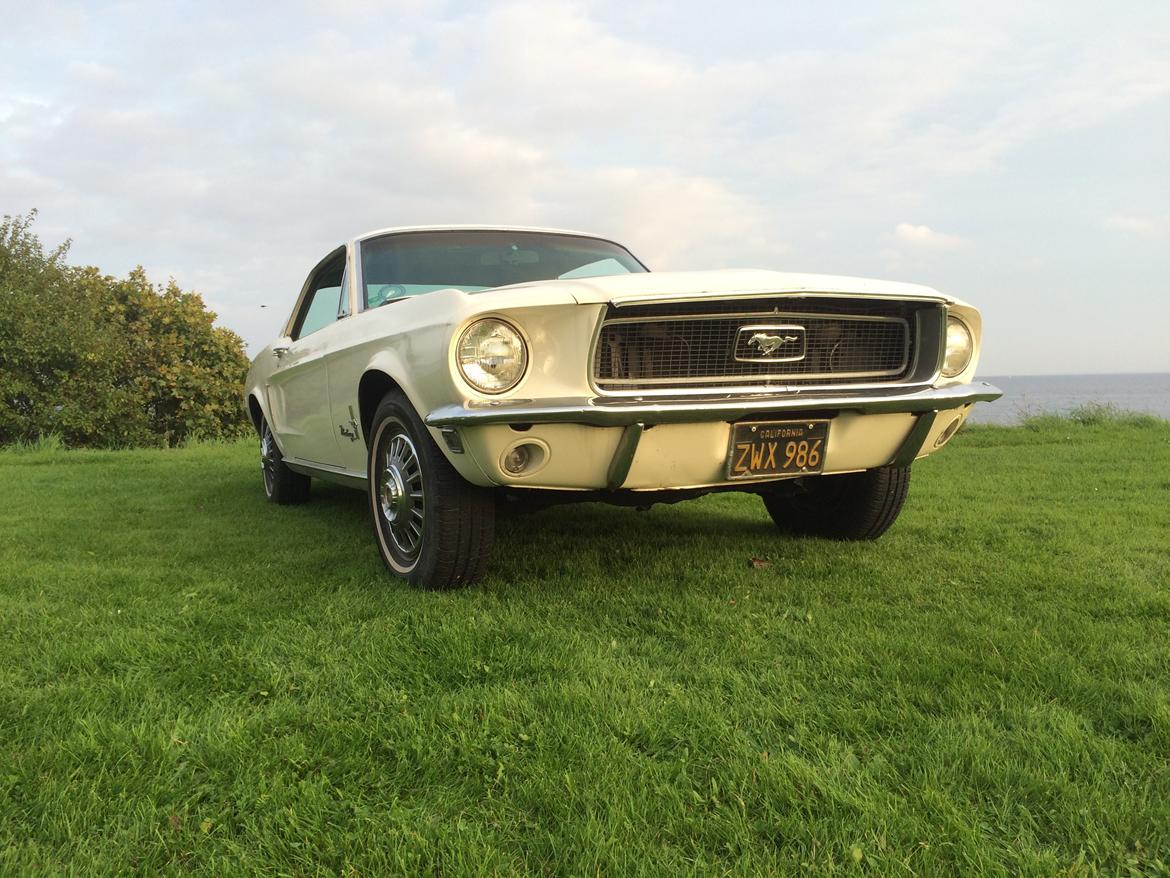 Ford Mustang billede 9