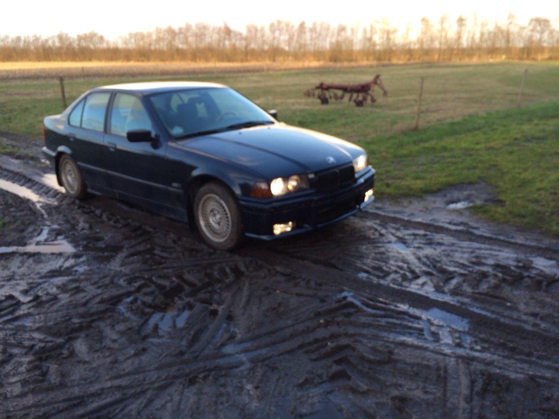 BMW E36 318 TDS billede 16