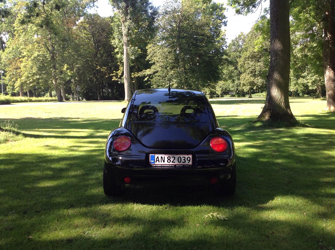 VW Beetle billede 6