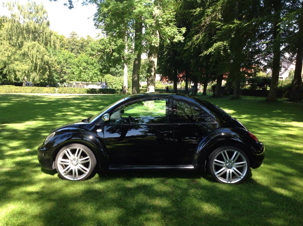 VW Beetle billede 8