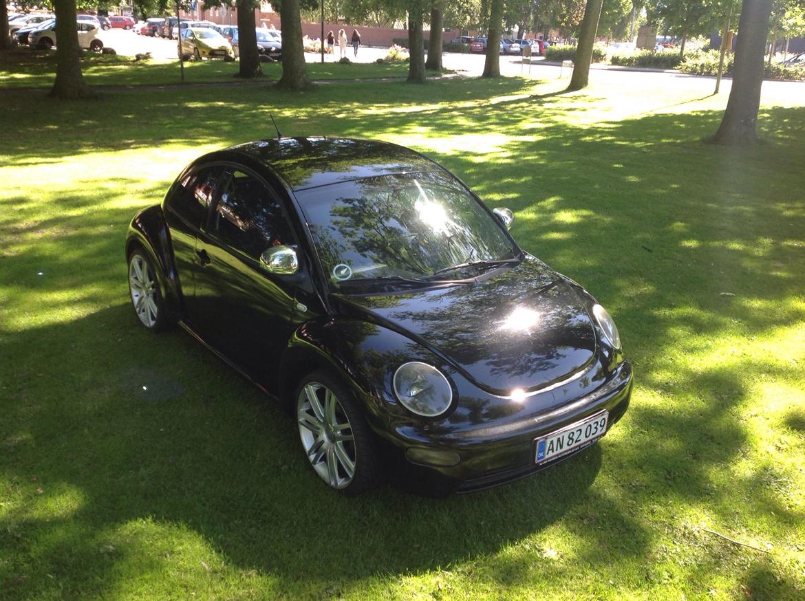 VW Beetle billede 11