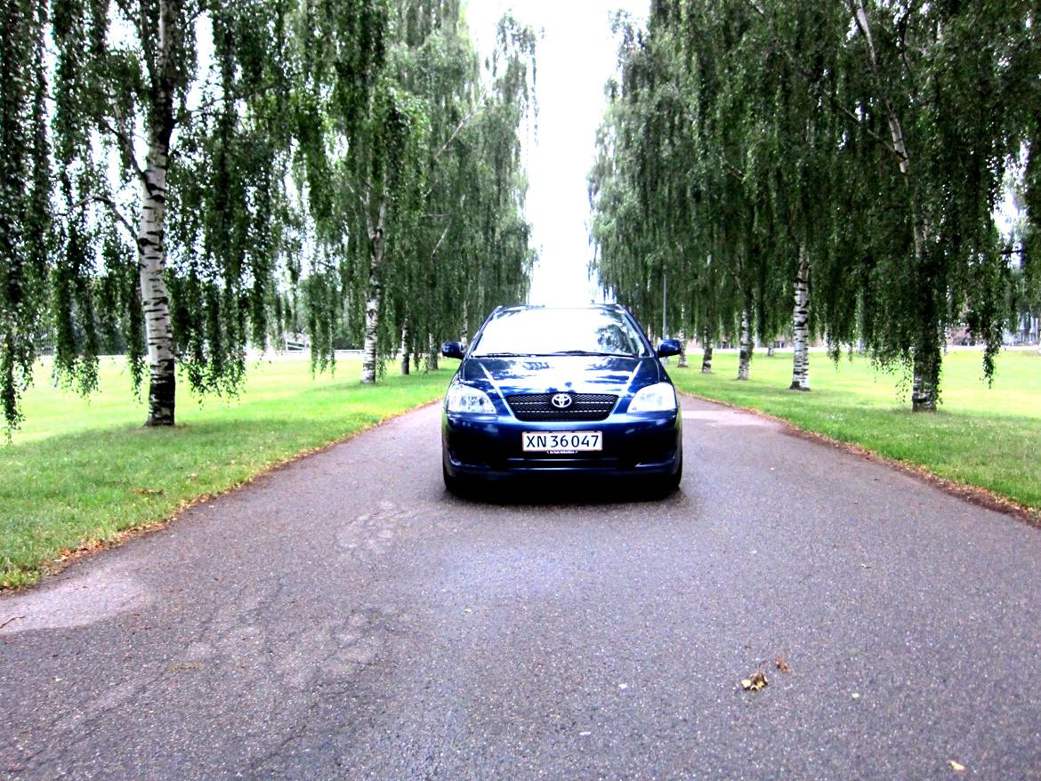 Toyota Corolla E12 1,6 VVT-i  billede 10