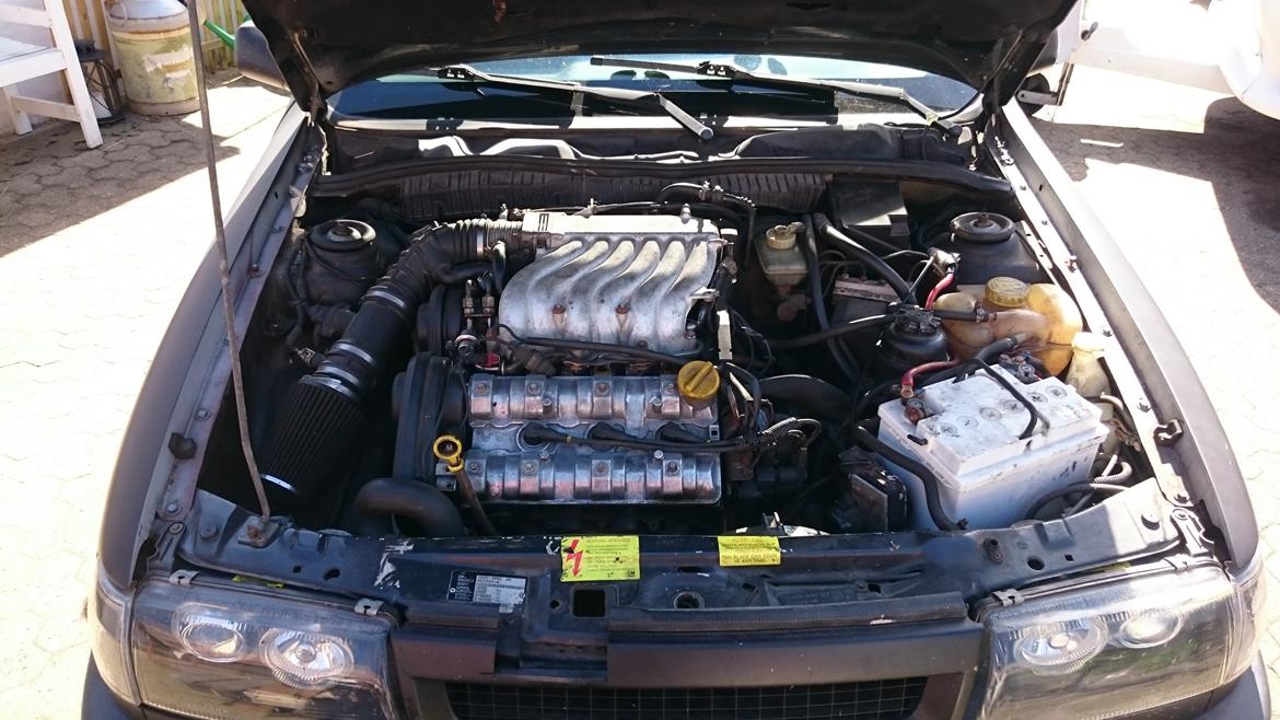 Opel Vectra V6 billede 20