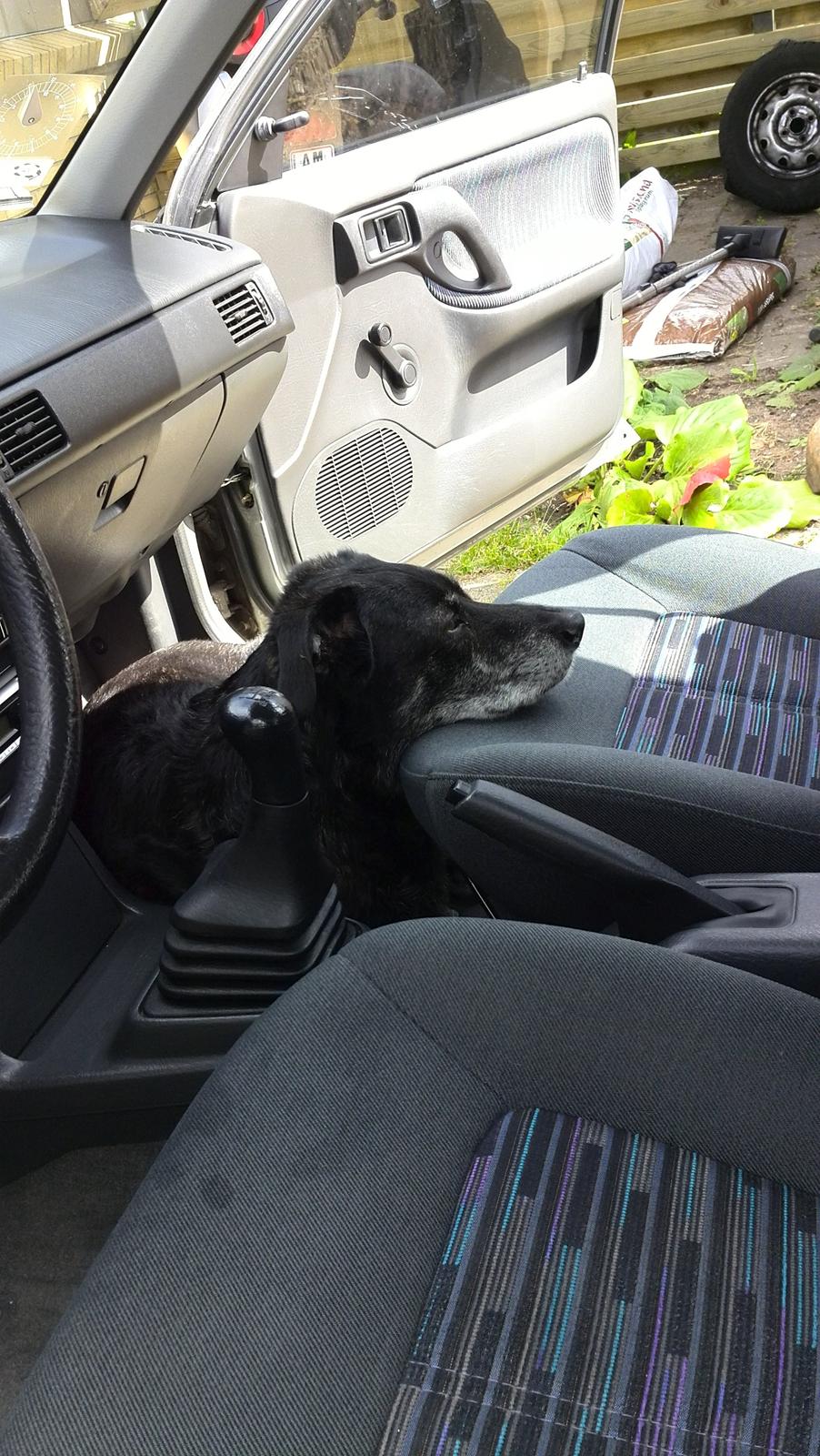 Mazda 323 Spring Sedan billede 15