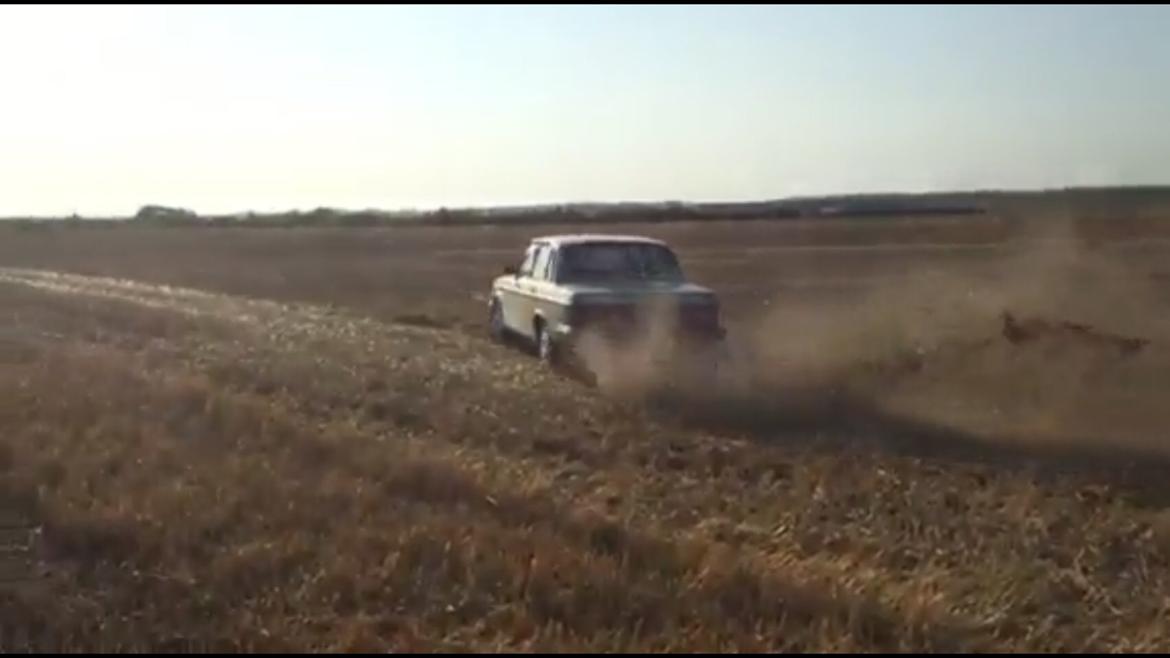 Volvo 244 GL billede 1