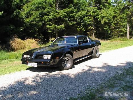 Pontiac Trans Am Firebird billede 13