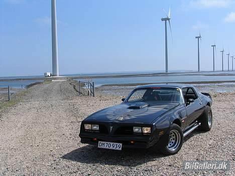 Pontiac Trans Am Firebird billede 14