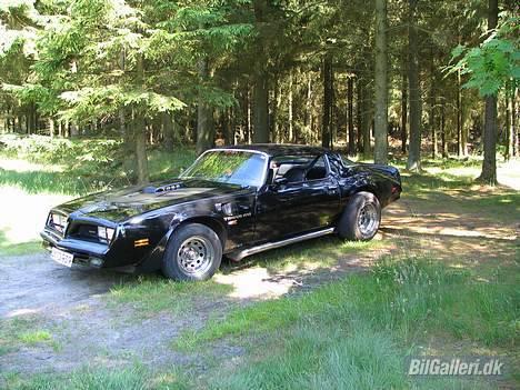 Pontiac Trans Am Firebird billede 15