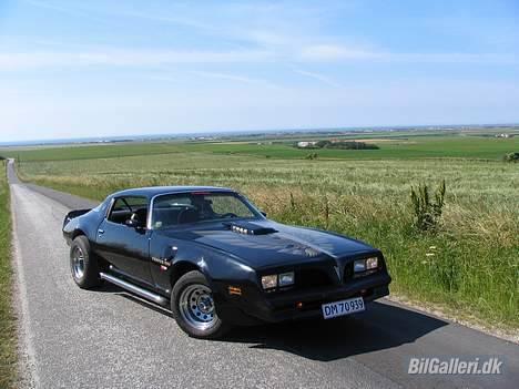 Pontiac Trans Am Firebird billede 17