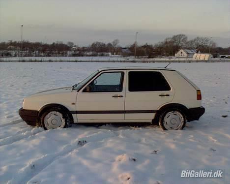 VW Golf TD *stjålet* billede 5
