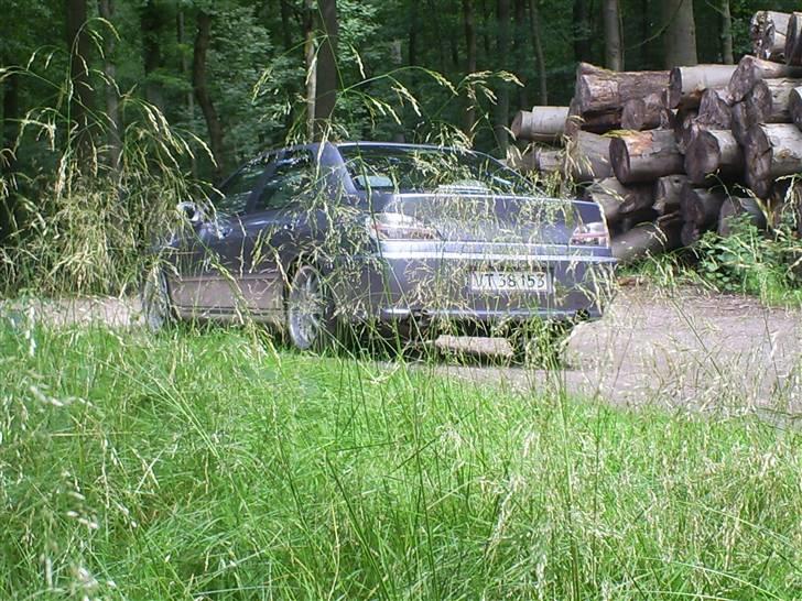 Peugeot 406 Sv Turbo  billede 10