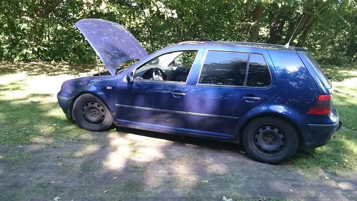 VW Golf 4  billede 12