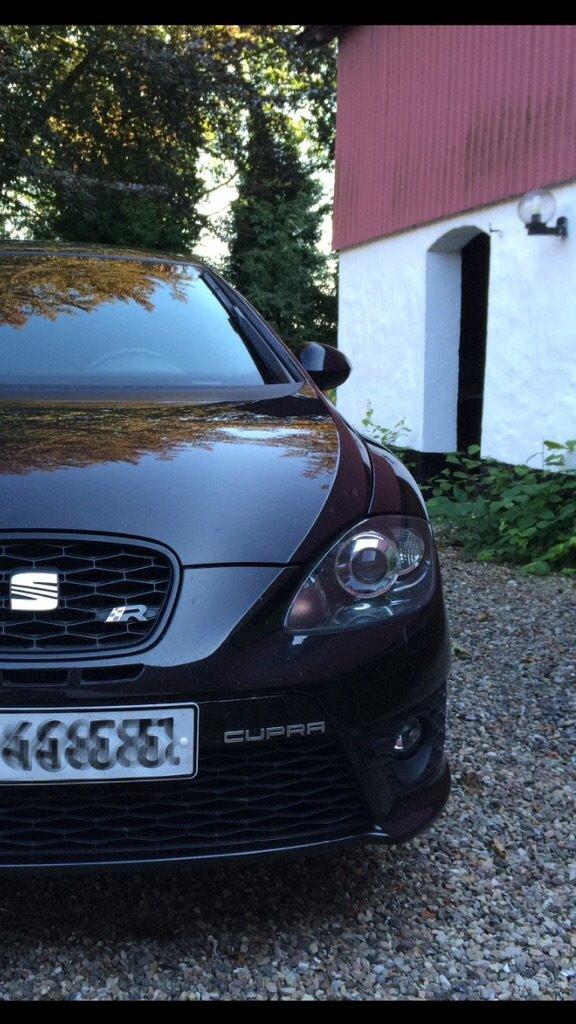 Seat Leon Cupra R billede 1