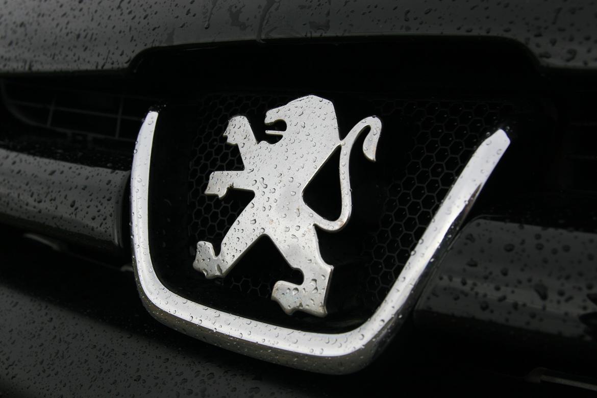 Peugeot 206 GTI  billede 11