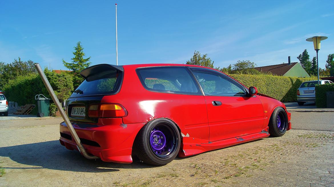 Honda                               Civic EG STATIC billede 1