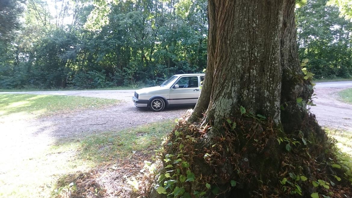 VW golf gti billede 9