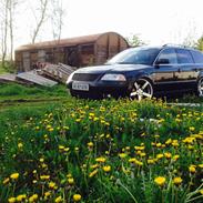 VW passat 3BG