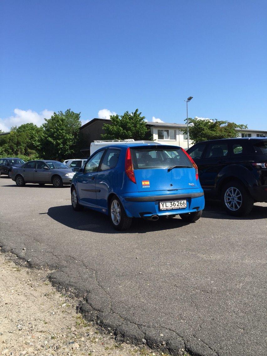 Fiat Punto Sporting billede 15