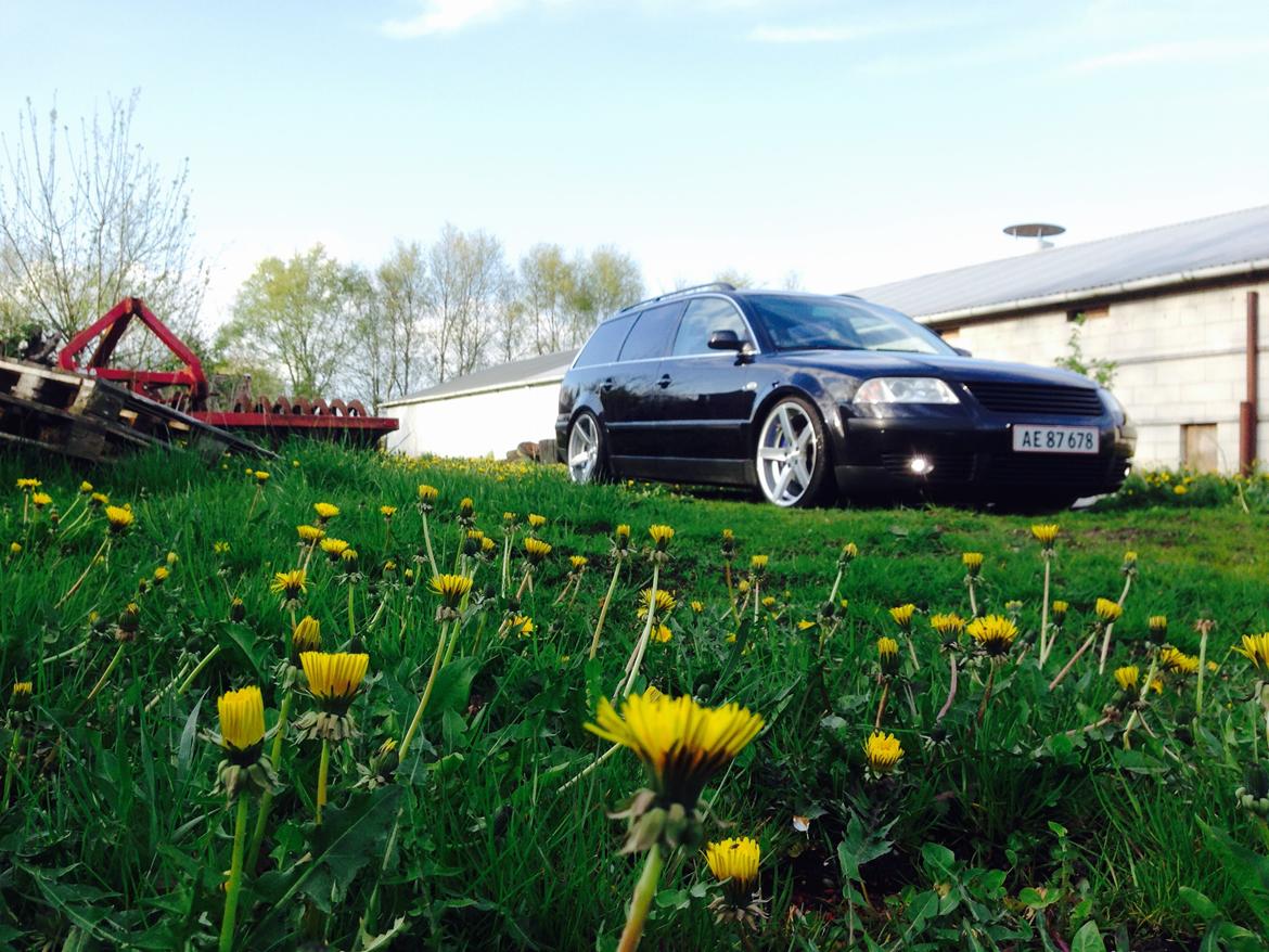 VW passat 3BG billede 5