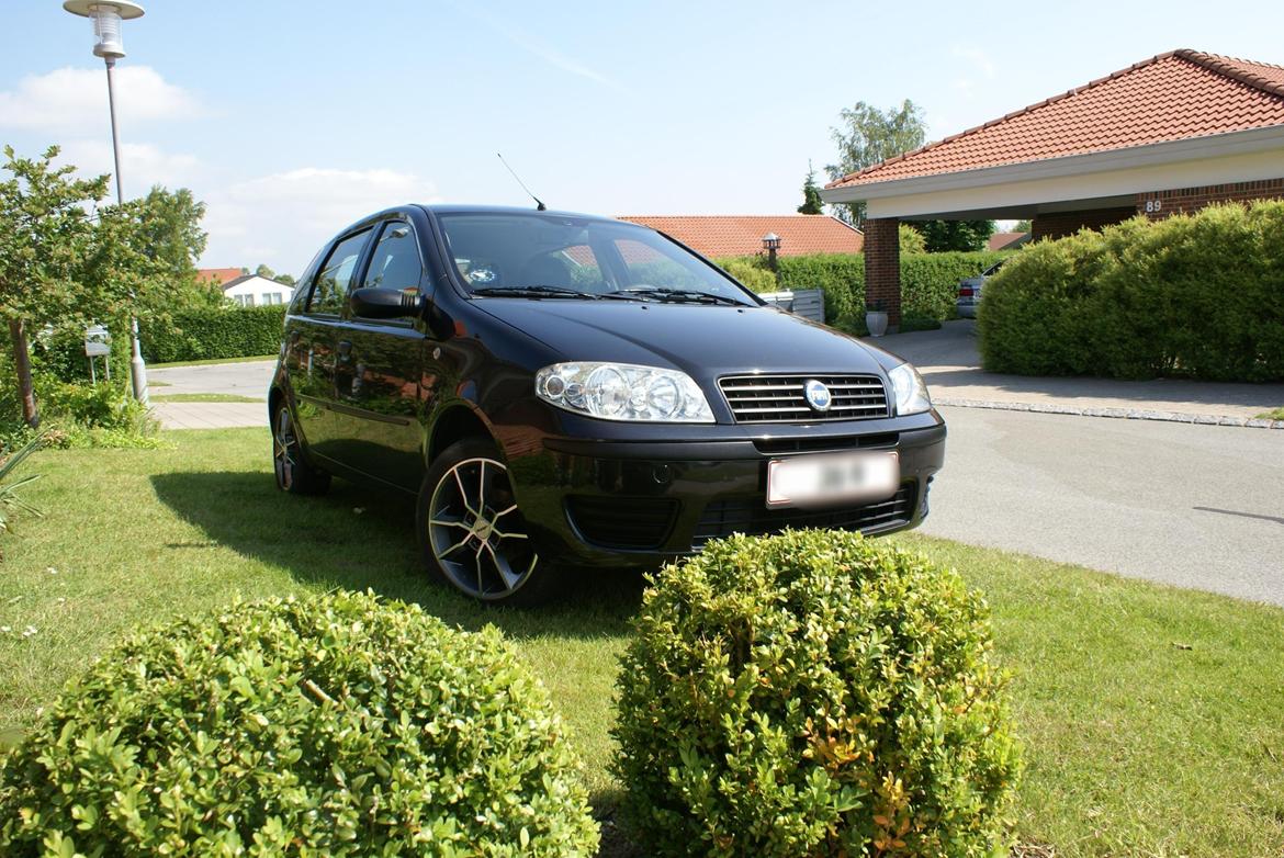 Fiat Punto Ciao (SOLGT) - Gammelt billede fra sommeren 14 billede 5