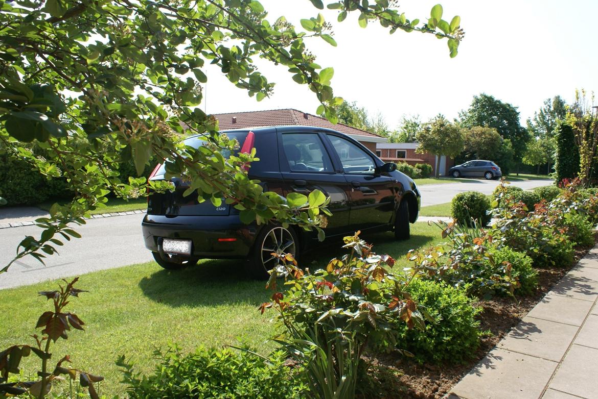 Fiat Punto Ciao (SOLGT) - Gammelt billede fra sommeren 14 billede 6