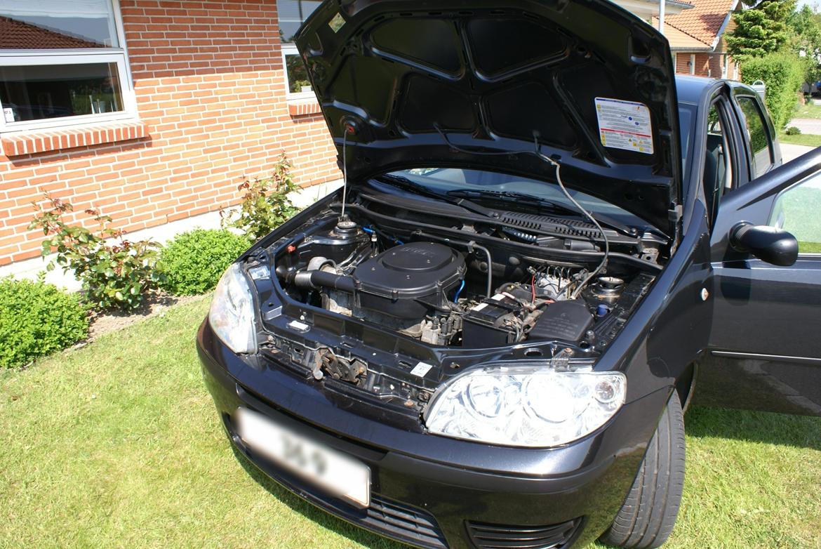 Fiat Punto Ciao (SOLGT) - Nyvasket bil over det hele - motor, kabine, udvendigt :P billede 13