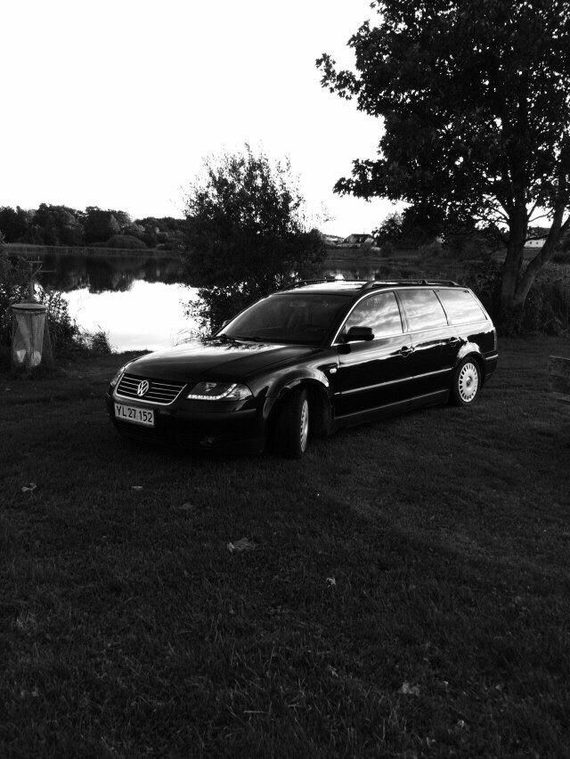 VW Passat 3bg billede 14