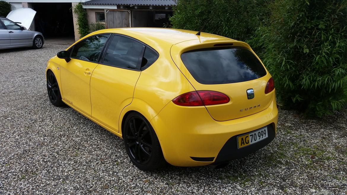 Seat Leon Cupra billede 10