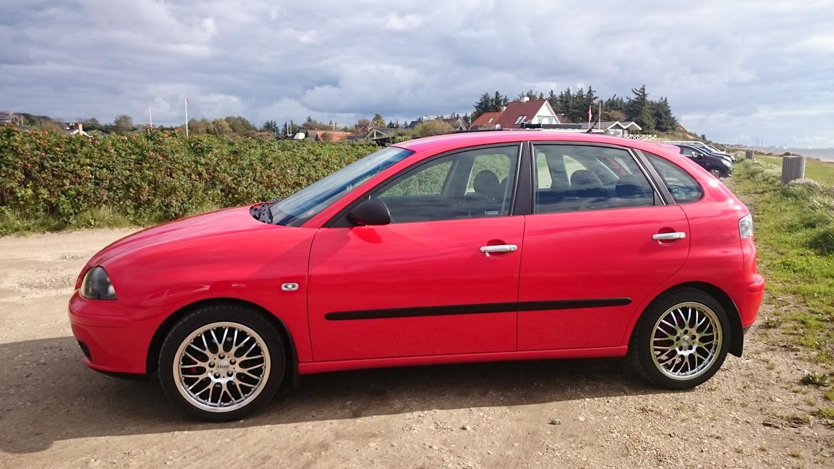 Seat Ibiza 6L (solgt) billede 10