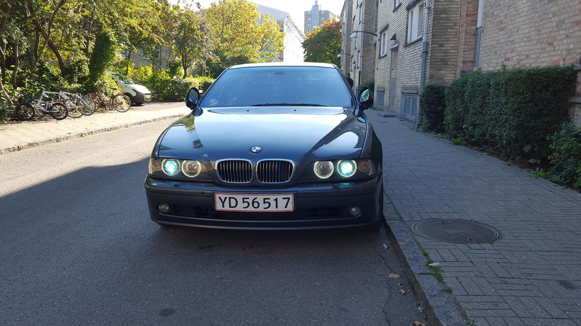 BMW 540i E39 #SOLGT billede 1