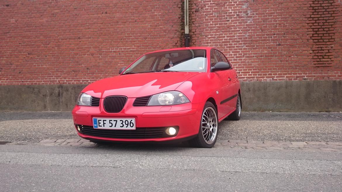 Seat Ibiza 6L (solgt) billede 1