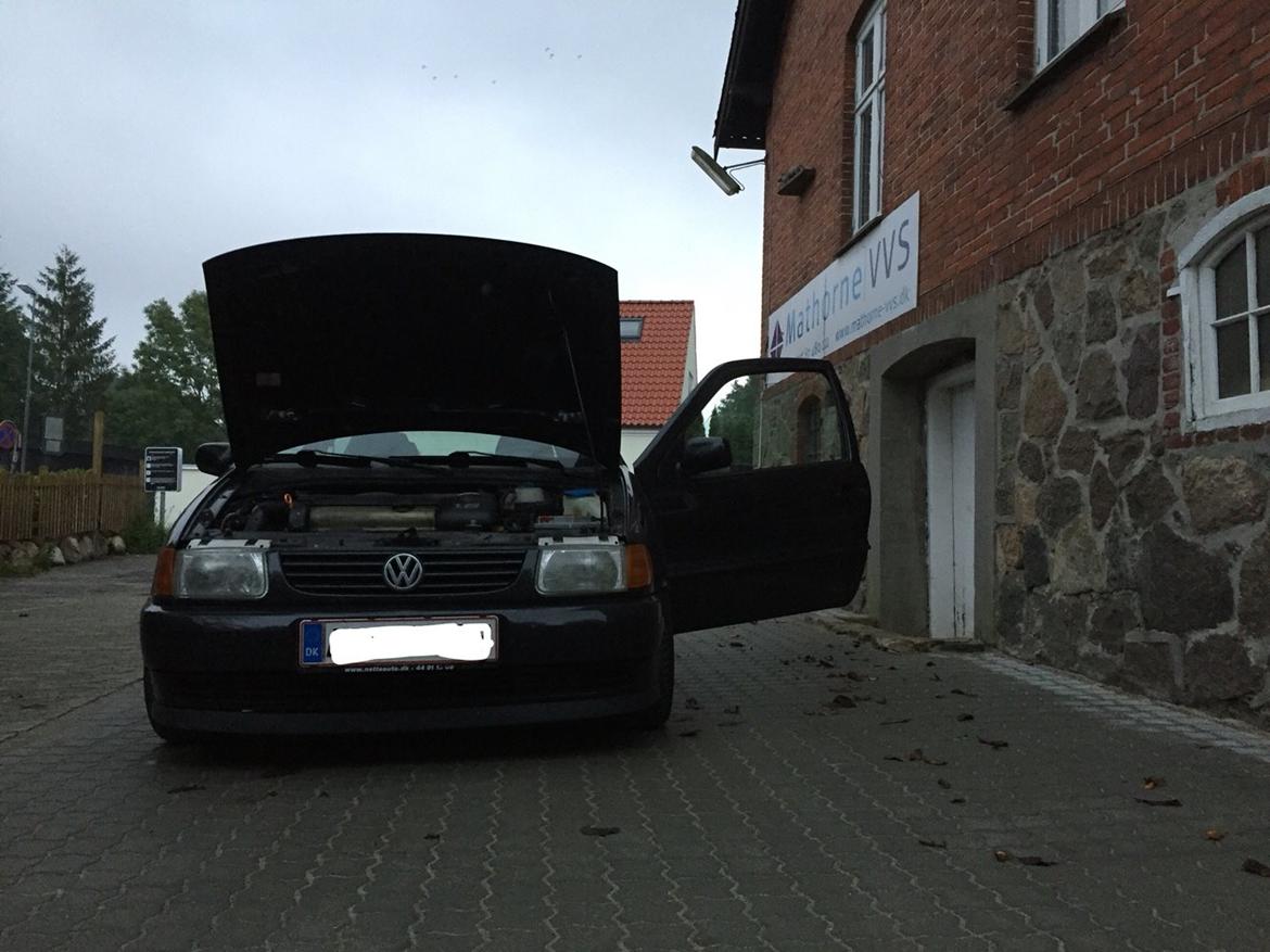 VW Polo 6N 1.6 billede 21