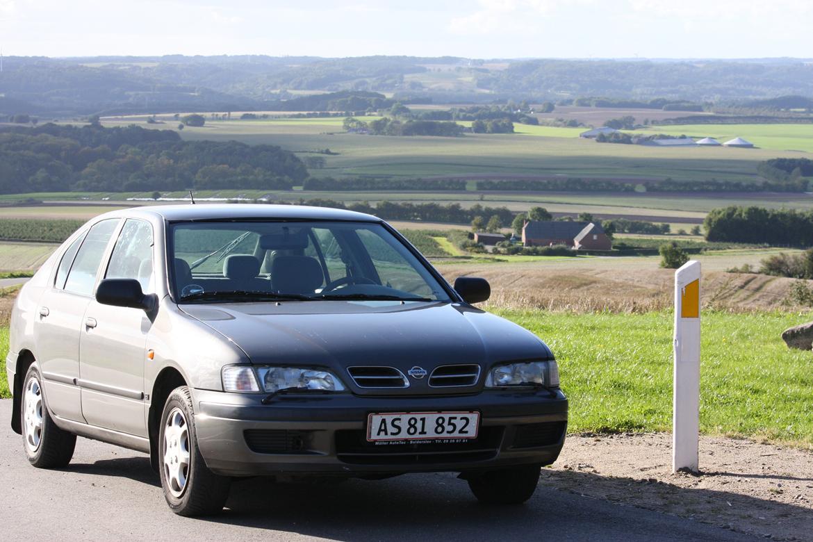 Nissan Primera GX 1.6 billede 9