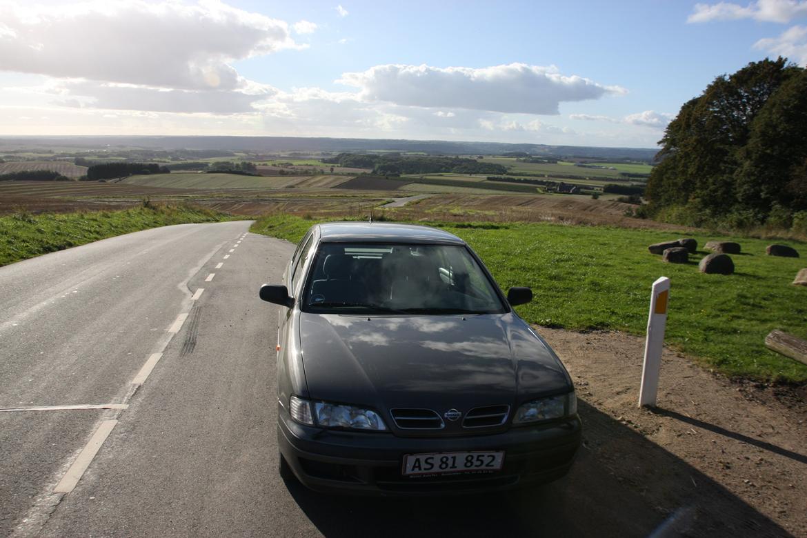 Nissan Primera GX 1.6 billede 12