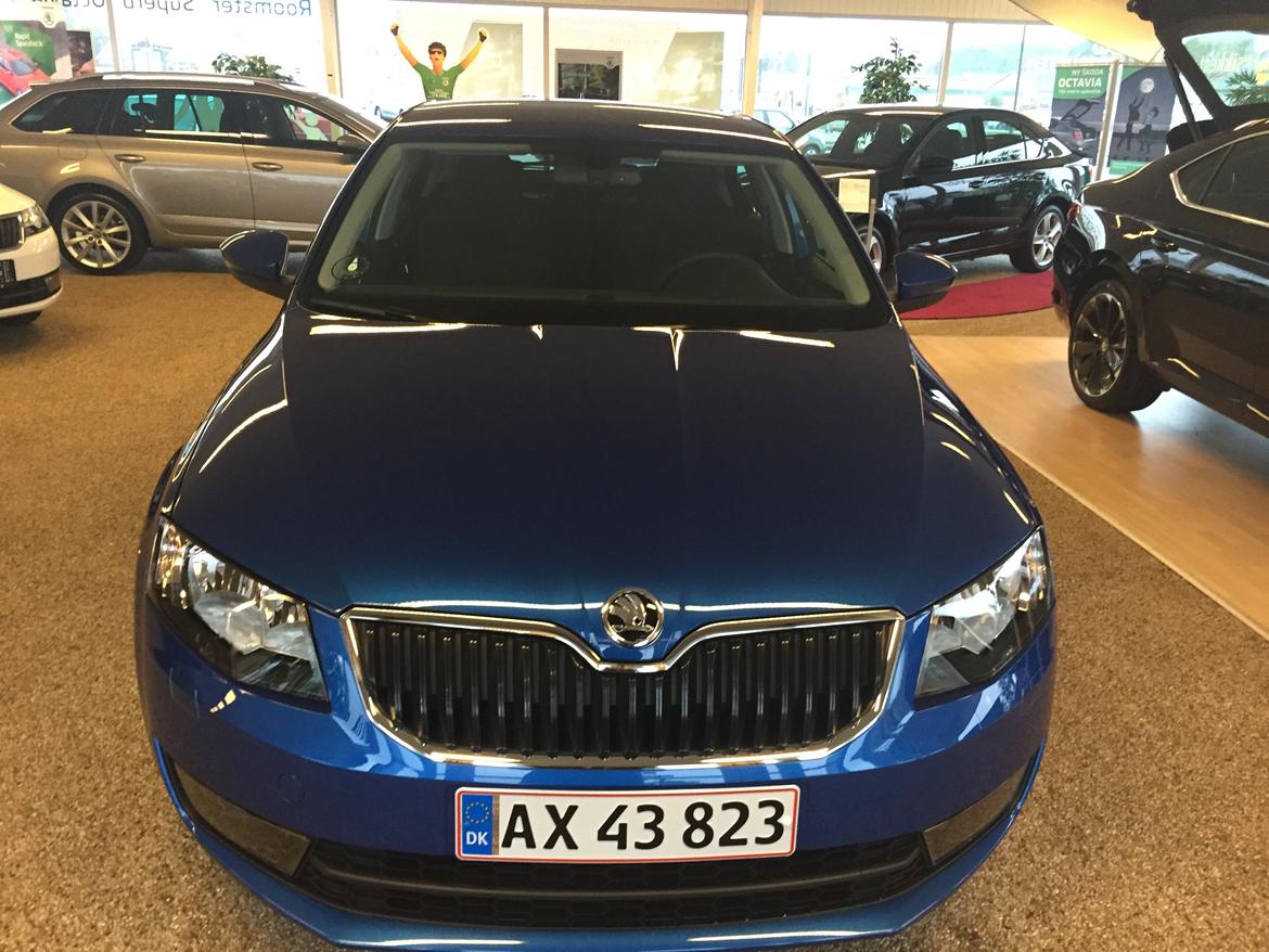 Skoda Octavia Liftback TDF billede 1