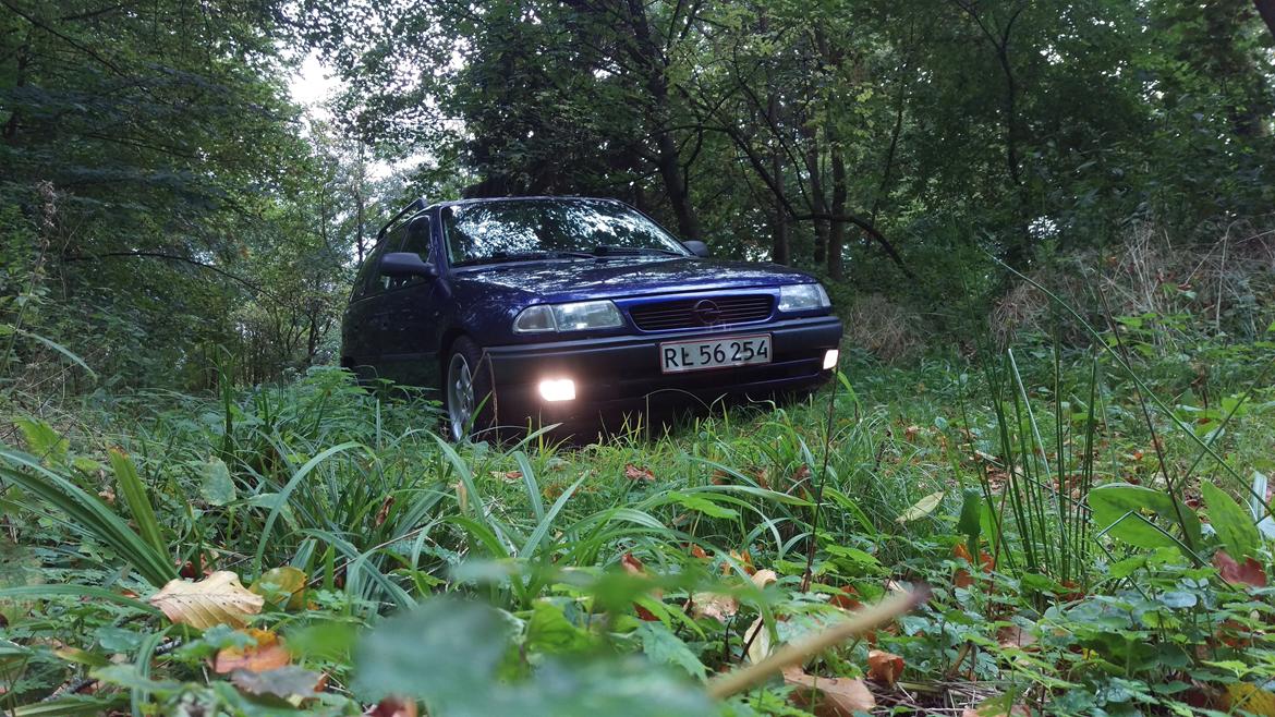 Opel Astra F Club Caravan billede 8