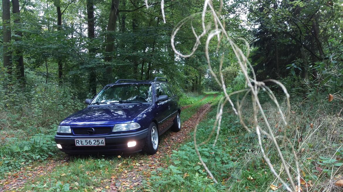 Opel Astra F Club Caravan billede 9