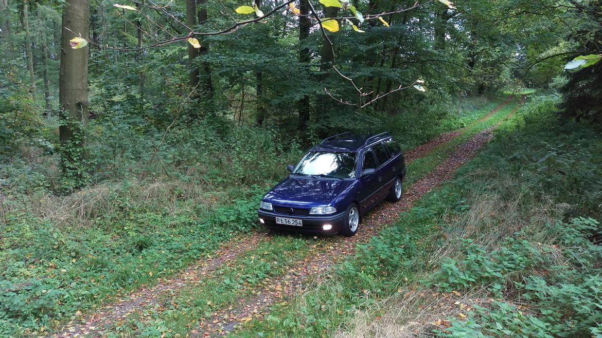 Opel Astra F Club Caravan billede 6