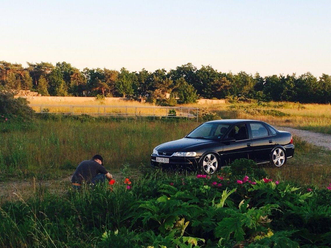 Opel Vectra b sport billede 8