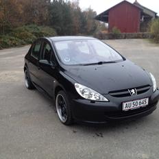 Peugeot 307 Griffe