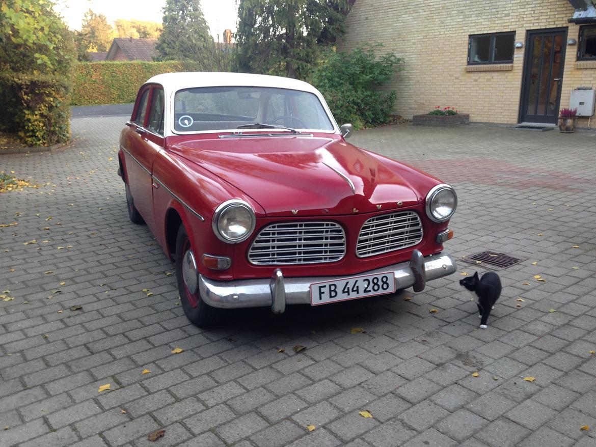 Volvo Amazon billede 4