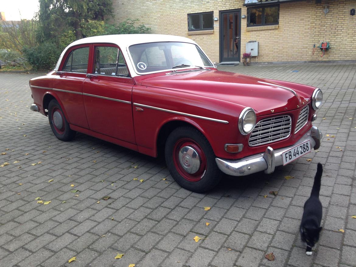 Volvo Amazon billede 1