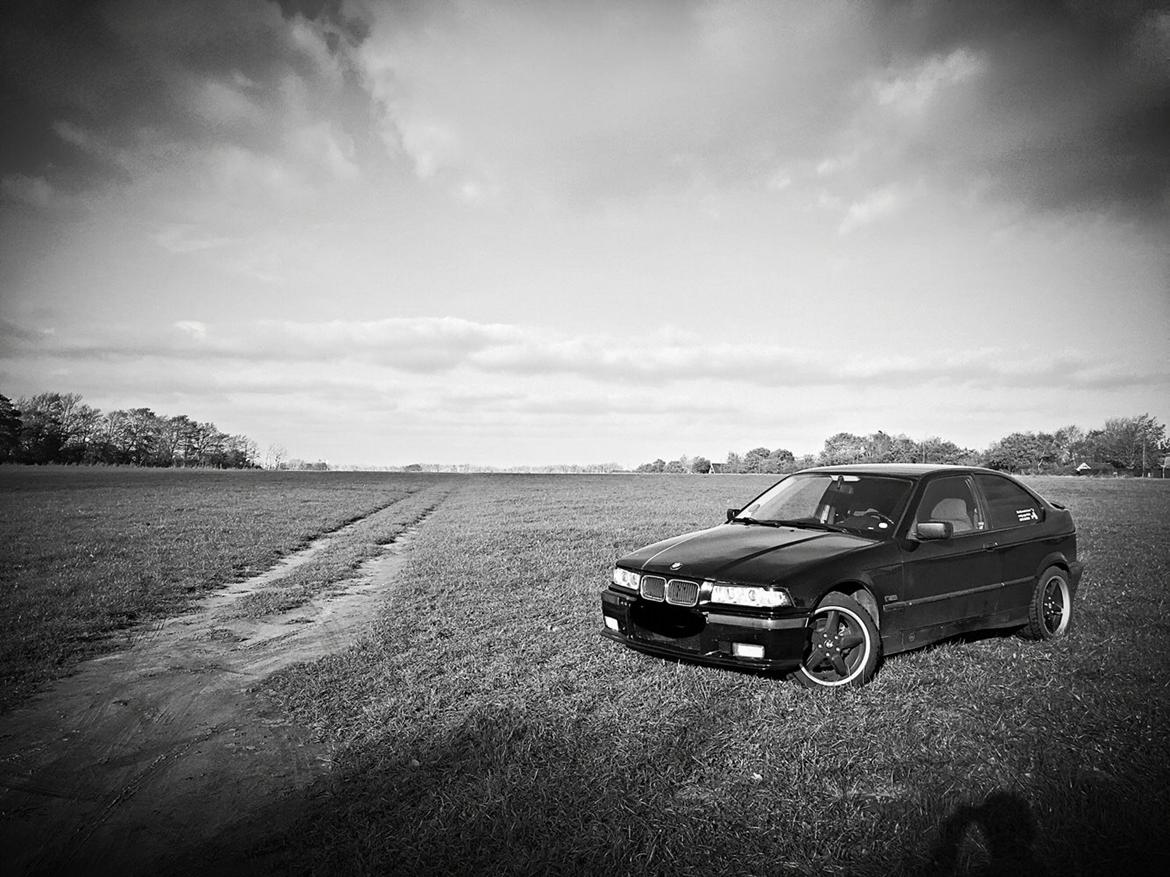 BMW 3' Serie - E36 316i Compact coupé - Photoshoot ude på marken billede 11