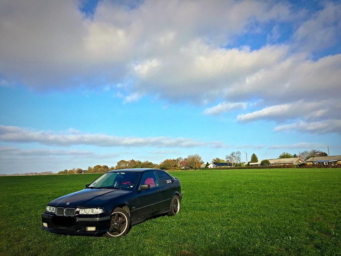 BMW 3' Serie - E36 316i Compact coupé - Photoshoot ude på marken billede 12