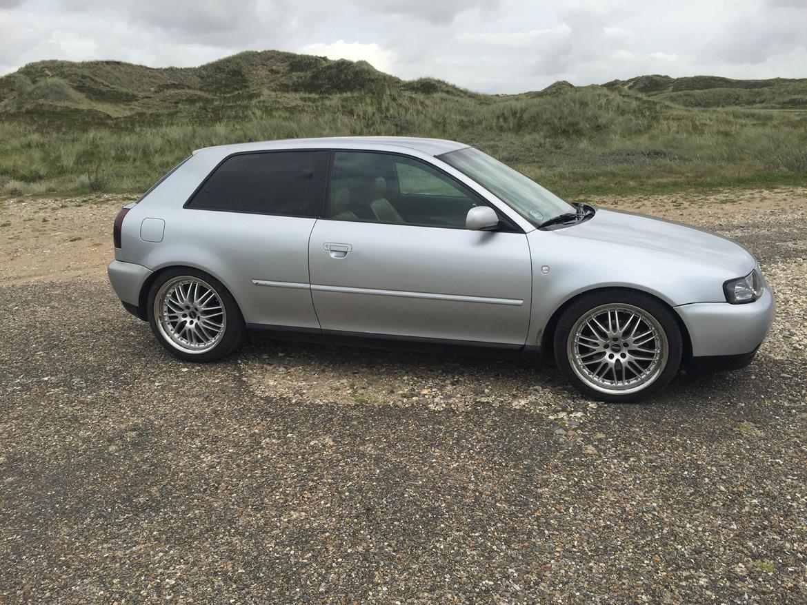 Audi A3 8l billede 2