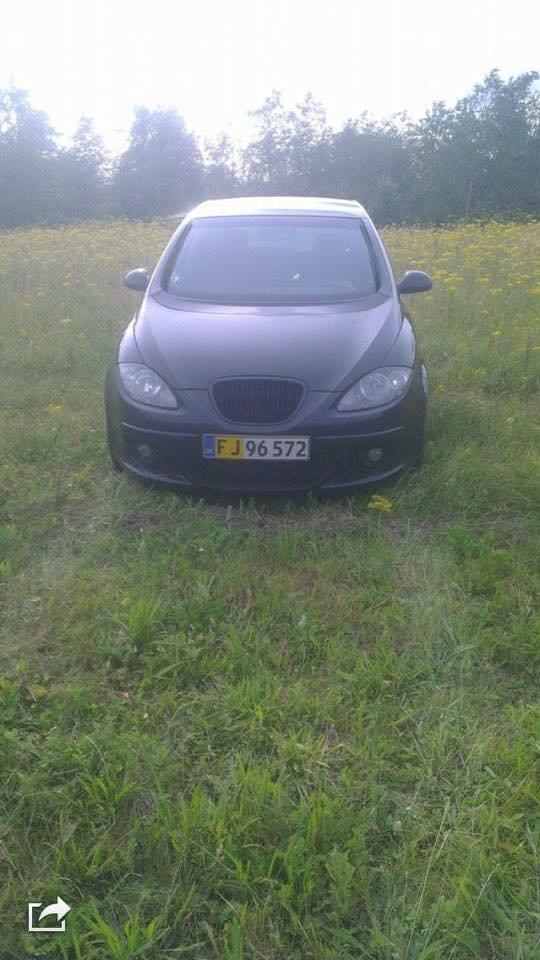 Seat Altea  billede 1