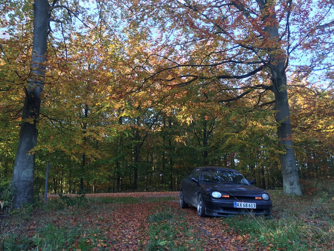 Chrysler Neon billede 10